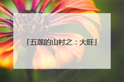 五莲的山村之：大旺